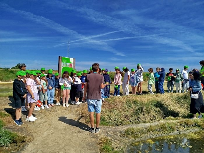 img salinas 1