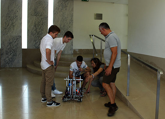 3 Zing IMG 4692