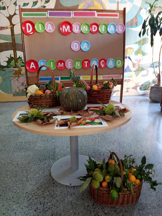 alimentação4