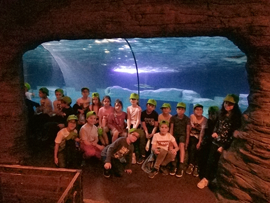 AN SEALIFE