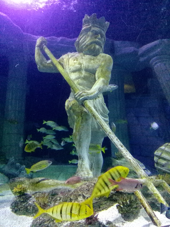 AN SEALIFE1