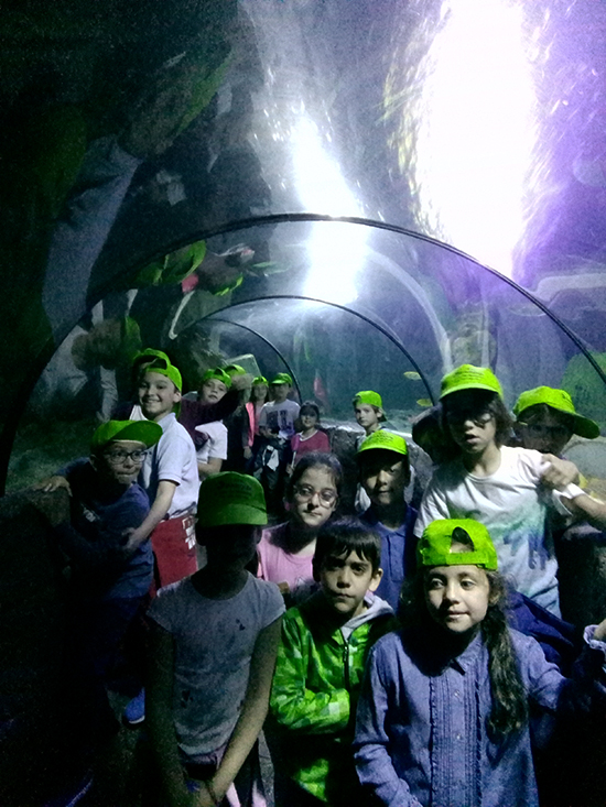 AN SEALIFE2