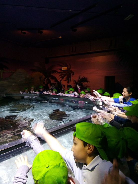 AN SEALIFE3