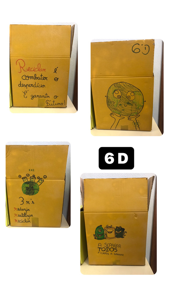 6D