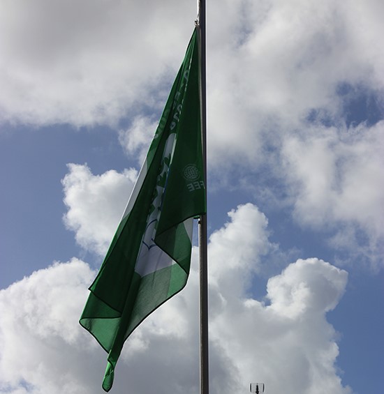 bandeira eco1