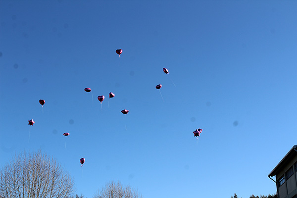 AN 5 IMG 2065