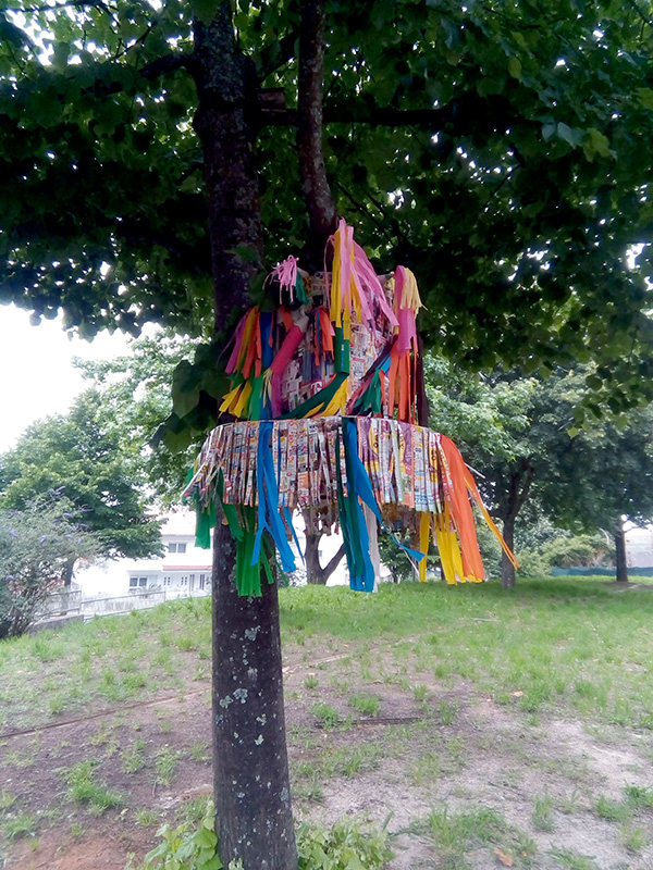 AN criança2