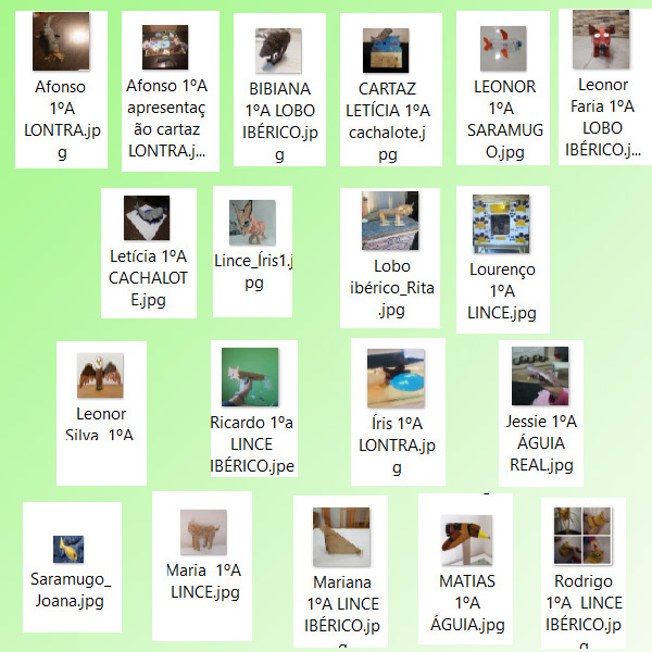 colagem2