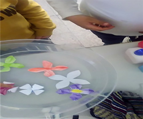 flores2
