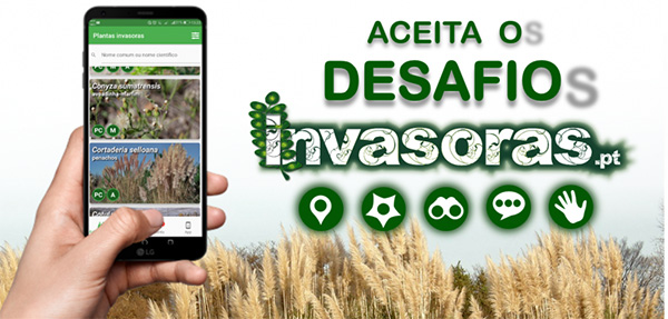 logo invasoras1