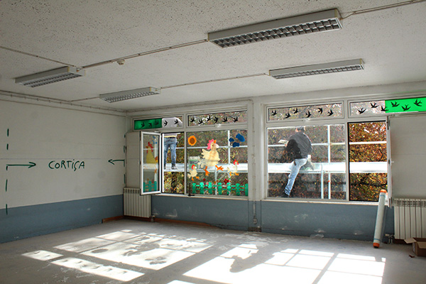2 IMG 1781