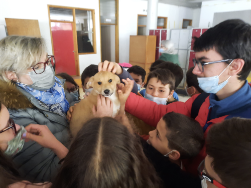 cachorra1
