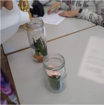 peqcientistas1