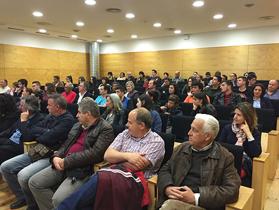 an mesa redonda2